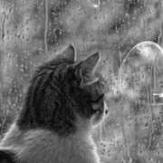 つき ※無題 奥鉄オクテツ大阪