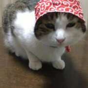 及川ゆき 本日も楽しく TSUBAKI（水戸）