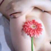 ヒメ日記 2025/01/07 23:00 投稿 ことね シャブール