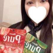 ヒメ日記 2025/08/28 08:01 投稿 ことね シャブール