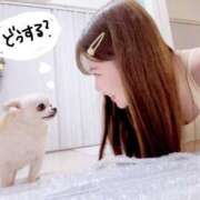 ヒメ日記 2025/03/06 18:15 投稿 せいら シャブール