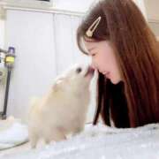 ヒメ日記 2025/04/10 18:30 投稿 せいら シャブール