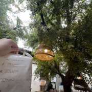 ヒメ日記 2025/06/27 22:01 投稿 せいら シャブール