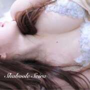 ヒメ日記 2025/07/21 22:45 投稿 せいら シャブール