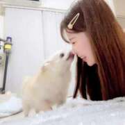 ヒメ日記 2025/10/23 20:29 投稿 せいら シャブール