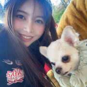 ヒメ日記 2025/11/11 18:21 投稿 せいら シャブール