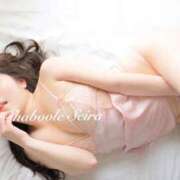 ヒメ日記 2026/01/10 20:42 投稿 せいら シャブール