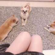 ヒメ日記 2026/01/11 20:48 投稿 せいら シャブール