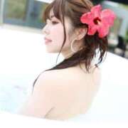 ヒメ日記 2026/01/15 22:31 投稿 せいら シャブール