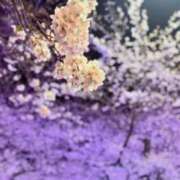 ヒメ日記 2026/03/27 01:22 投稿 せいら シャブール