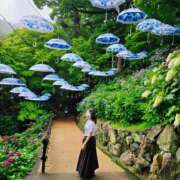 ヒメ日記 2024/12/18 18:45 投稿 いろは シャブール