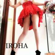 ヒメ日記 2024/12/20 20:03 投稿 いろは シャブール