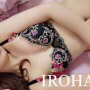 ヒメ日記 2024/12/29 18:05 投稿 いろは シャブール