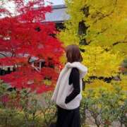 ヒメ日記 2025/01/11 12:11 投稿 いろは シャブール