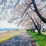 ヒメ日記 2025/03/26 20:03 投稿 いろは シャブール