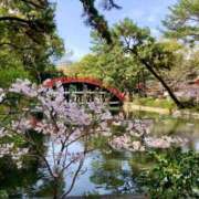 ヒメ日記 2025/03/30 17:01 投稿 いろは シャブール