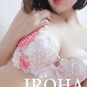 ヒメ日記 2025/04/05 13:59 投稿 いろは シャブール