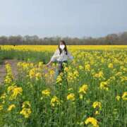 ヒメ日記 2025/05/04 13:02 投稿 いろは シャブール