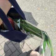 ヒメ日記 2025/05/18 11:38 投稿 いろは シャブール