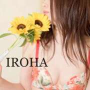 ヒメ日記 2025/10/13 19:15 投稿 いろは シャブール