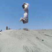 ヒメ日記 2025/11/15 12:09 投稿 いろは シャブール