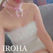 ヒメ日記 2025/11/15 14:01 投稿 いろは シャブール