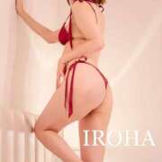 ヒメ日記 2025/12/17 18:01 投稿 いろは シャブール