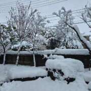 ヒメ日記 2026/01/01 10:08 投稿 いろは シャブール