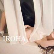 ヒメ日記 2026/02/16 18:45 投稿 いろは シャブール