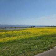 ヒメ日記 2026/03/07 08:34 投稿 いろは シャブール