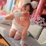 いろは 再会🍒 シャブール