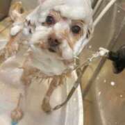 ヒメ日記 2025/06/22 18:28 投稿 なな シャブール