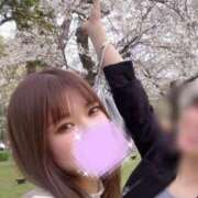 ヒメ日記 2025/11/24 14:12 投稿 なな シャブール