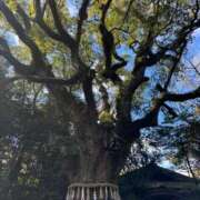 ヒメ日記 2026/01/04 19:10 投稿 なな シャブール