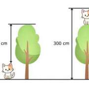 ヒメ日記 2026/01/23 22:01 投稿 なな シャブール