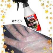 ヒメ日記 2024/12/19 17:20 投稿 せり 大和ナデシコ～五十路～