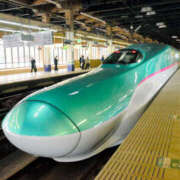 ヒメ日記 2025/01/16 05:34 投稿 せり 大和ナデシコ～五十路～