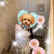 ヒメ日記 2025/02/19 08:12 投稿 せり 大和ナデシコ～五十路～