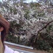 ヒメ日記 2025/04/04 09:12 投稿 せり 大和ナデシコ～五十路～