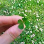 ヒメ日記 2025/05/21 22:30 投稿 せり 大和ナデシコ～五十路～