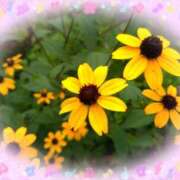 ヒメ日記 2025/09/01 07:46 投稿 せり 大和ナデシコ～五十路～