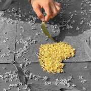 ヒメ日記 2025/11/13 01:04 投稿 せり 大和ナデシコ～五十路～