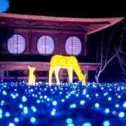 ヒメ日記 2025/11/22 01:18 投稿 せり 大和ナデシコ～五十路～