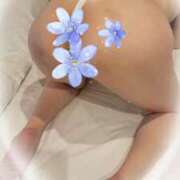 ヒメ日記 2025/06/11 11:22 投稿 れい 妻天 京橋店