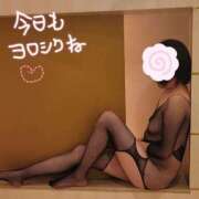 ヒメ日記 2025/08/31 10:10 投稿 れい 妻天 京橋店