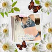 ヒメ日記 2025/03/07 23:14 投稿 香坂 熟女の風俗最終章 横浜本店