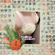 ヒメ日記 2025/06/16 12:54 投稿 香坂 熟女の風俗最終章 横浜本店