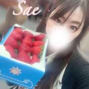 ヒメ日記 2025/04/03 13:29 投稿 さえ 千葉泡洗体デラックスエステ