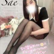 ヒメ日記 2025/06/09 13:03 投稿 さえ 千葉泡洗体デラックスエステ