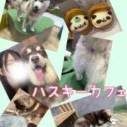 ヒメ日記 2025/09/04 17:01 投稿 さえ 千葉泡洗体デラックスエステ